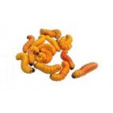 Live Food Butter Worms (6 Pack) image thumbnail.